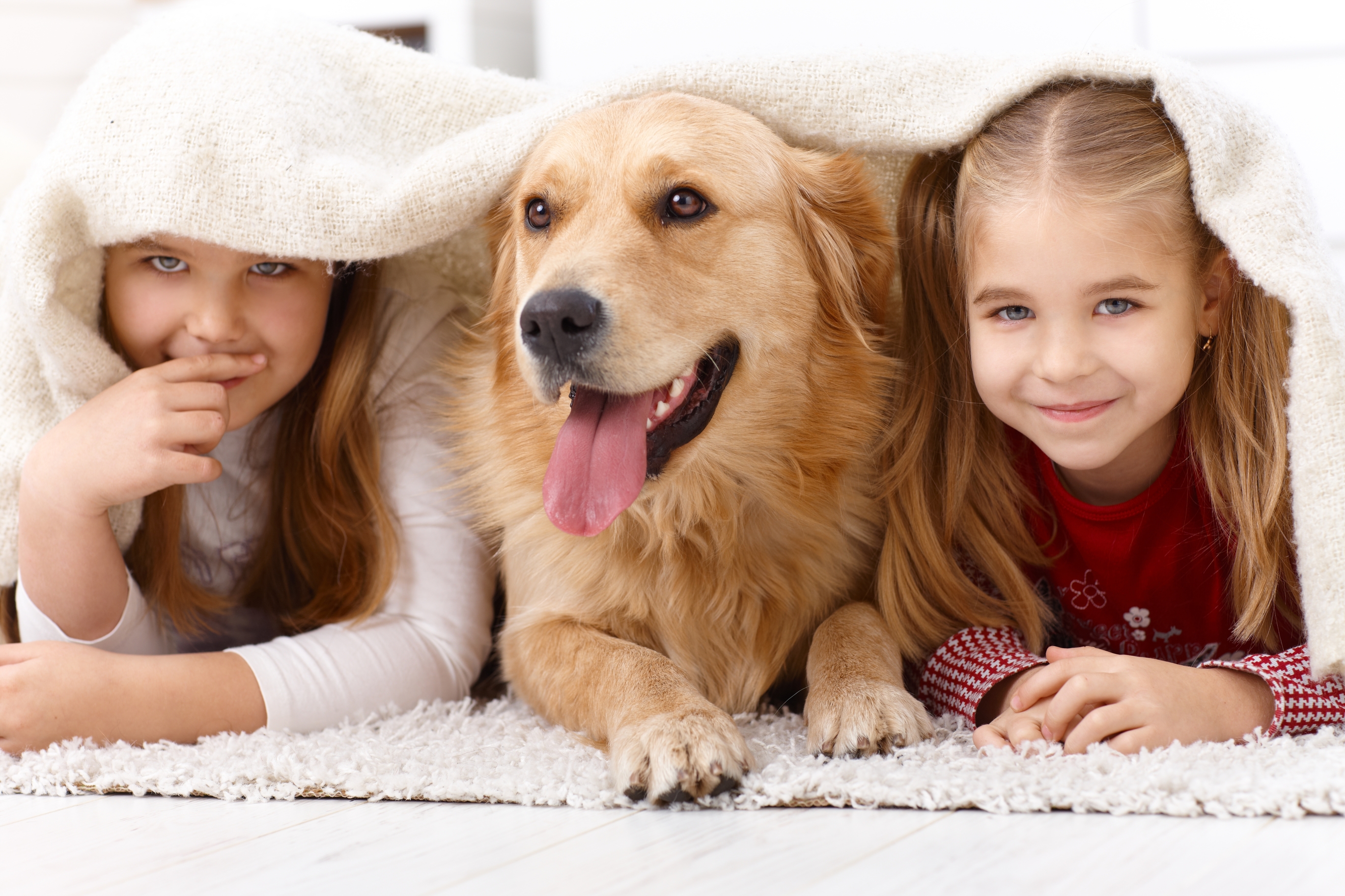 two girls and a brown dog covering in a white blanket